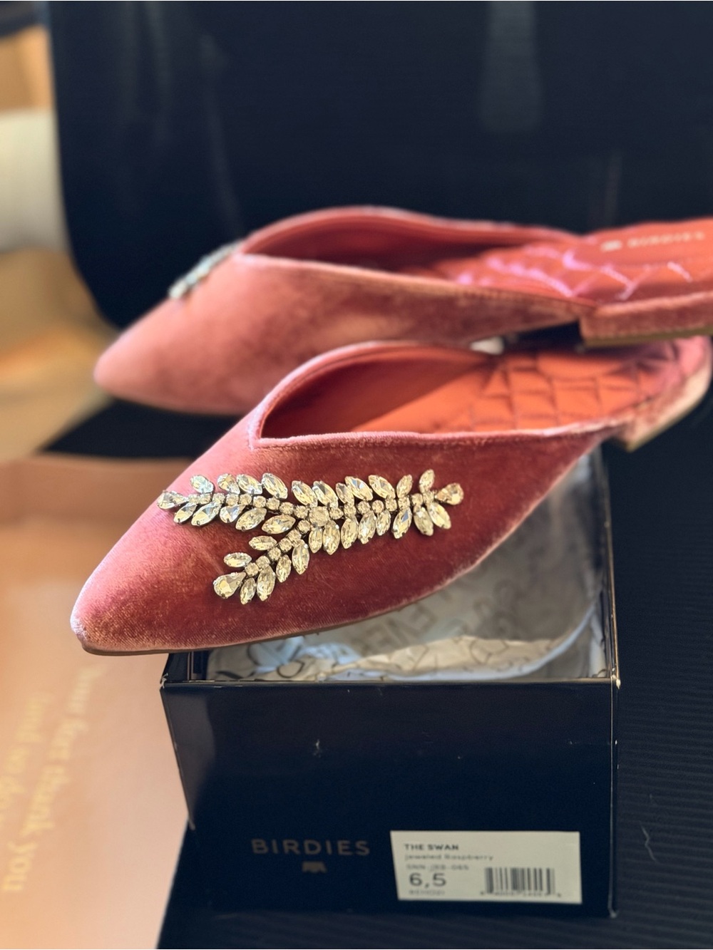 Birdies Swan NIB Size 6.5